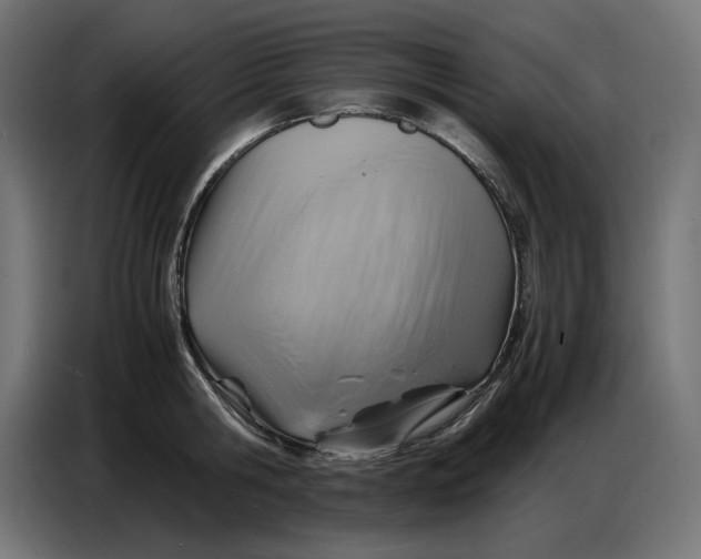 X0000086770806200705041507