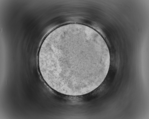 X0000086770807200705041507