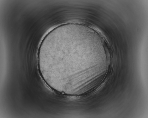 X0000086770808200705041507