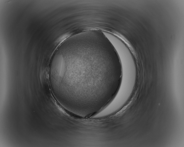 X0000086770809200705041507