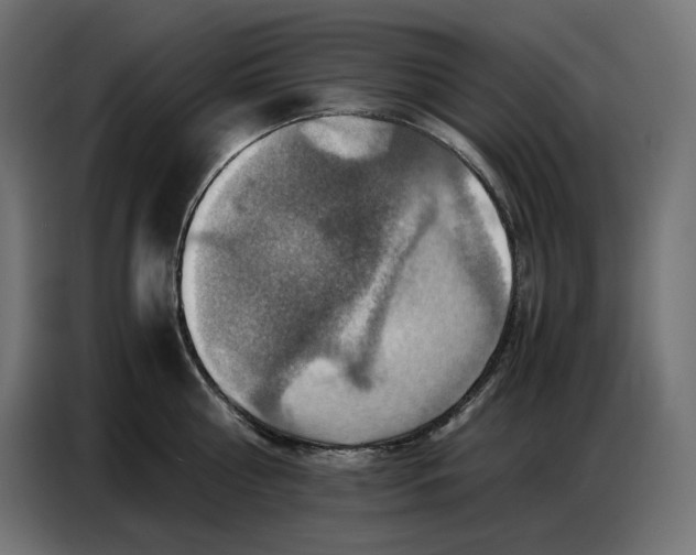 X0000086770810200705041507