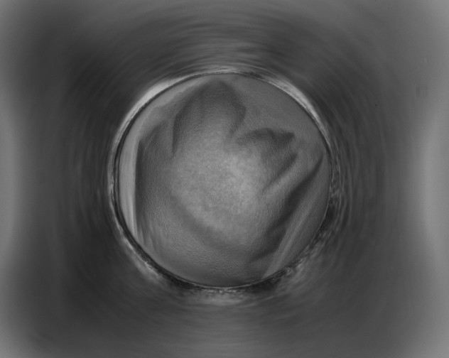 X0000086770811200705041507