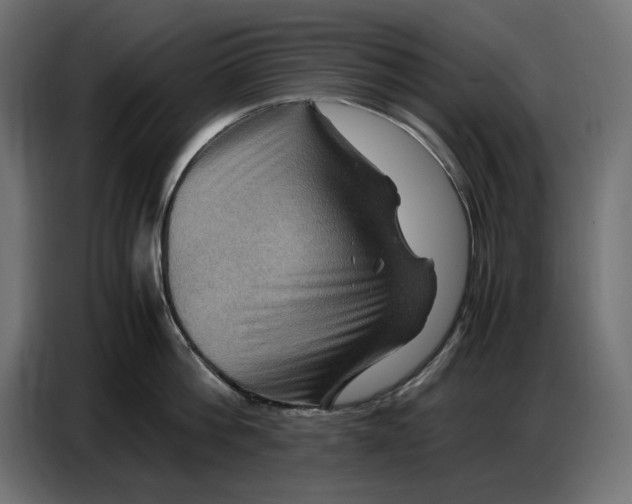 X0000086770812200705041507