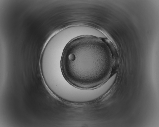 X0000086770813200705041507