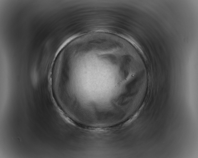 X0000086770814200705041507