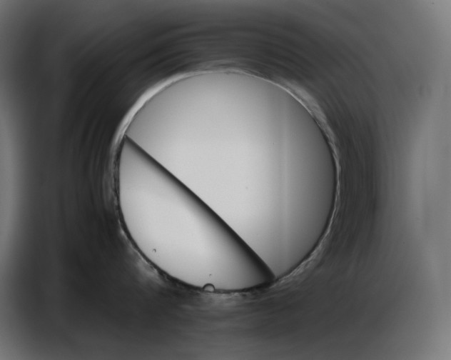 X0000086770816200705041507