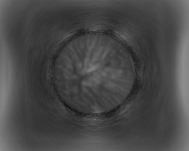 X0000086770817200705041506