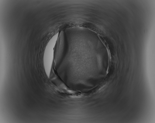 X0000086770818200705041506