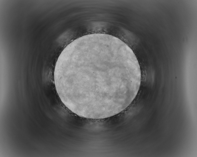 X0000086770820200705041506