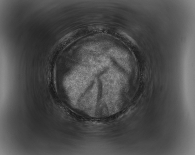 X0000086770821200705041506