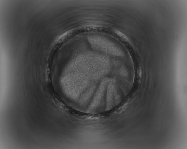 X0000086770822200705041506