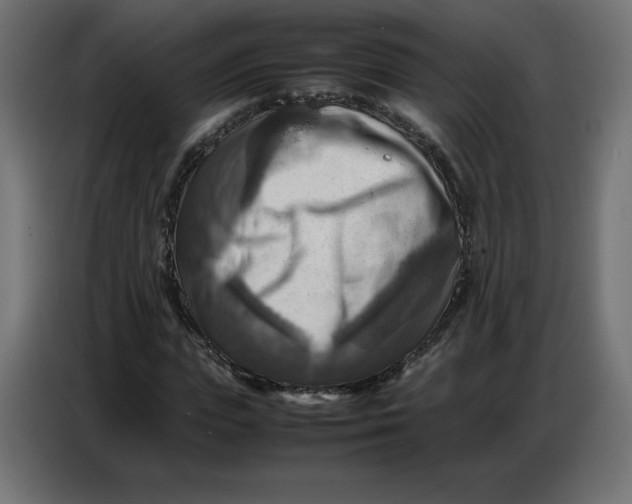 X0000086770823200705041506