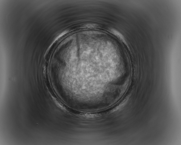 X0000086770827200705041506