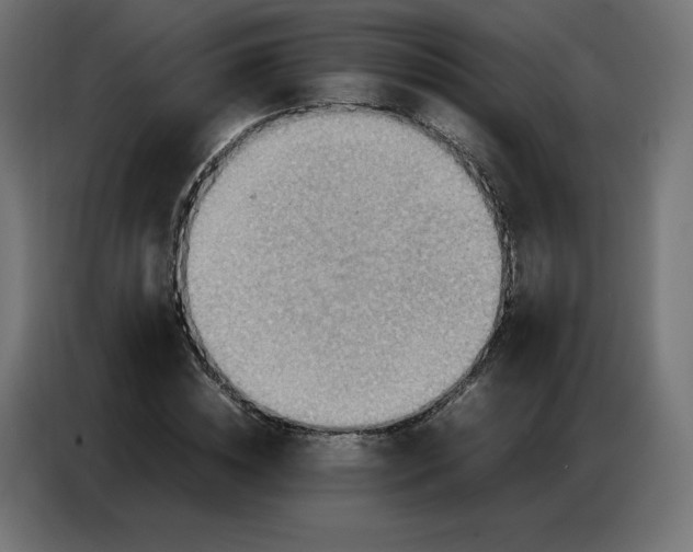 X0000086770828200705041506