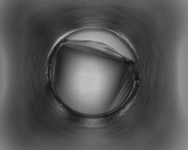 X0000086770830200705041506