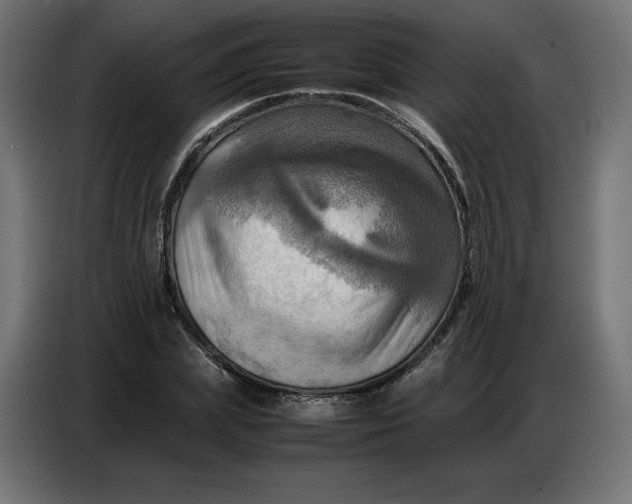 X0000086770831200705041506
