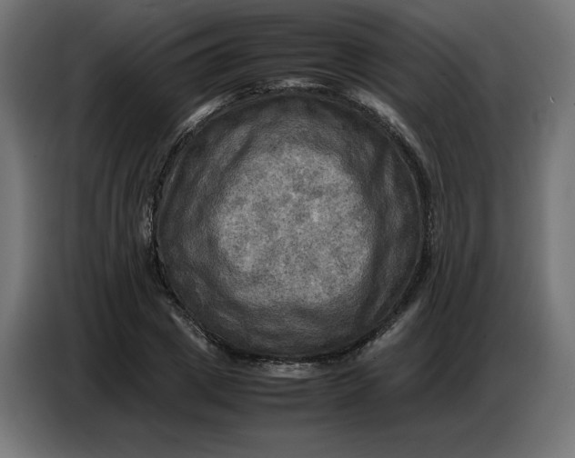 X0000086770833200705041506