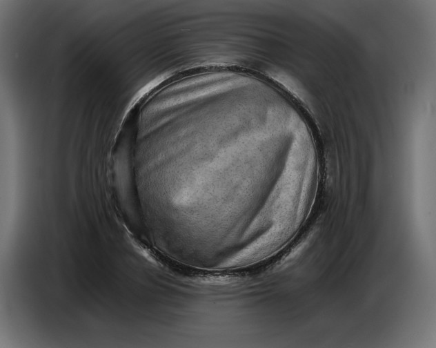 X0000086770834200705041506