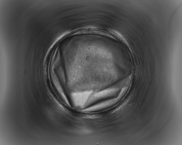 X0000086770835200705041506