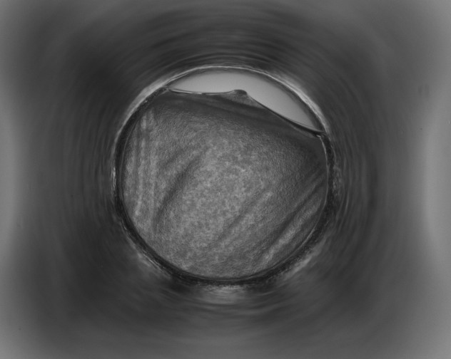 X0000086770837200705041506