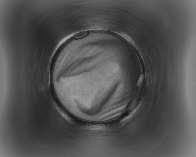 X0000086770838200705041506