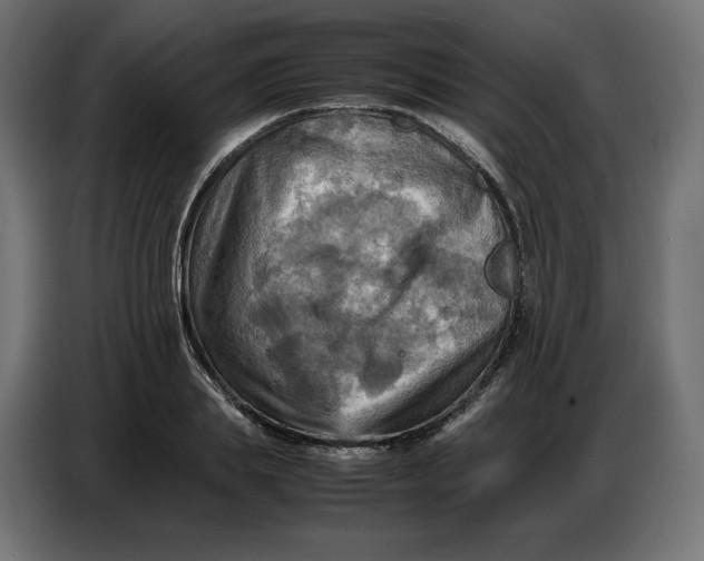 X0000086770839200705041506