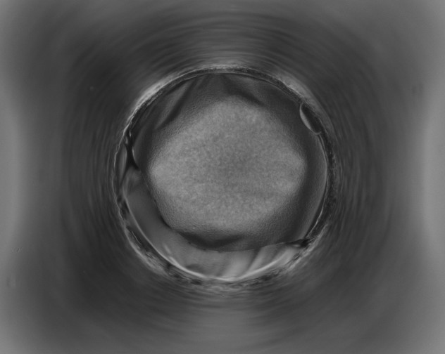 X0000086770842200705041506
