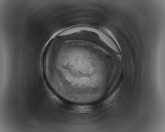 X0000086770843200705041506