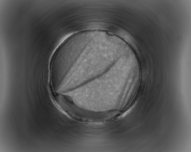 X0000086770844200705041506