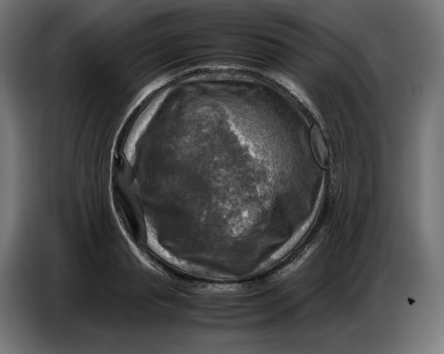 X0000086770845200705041506