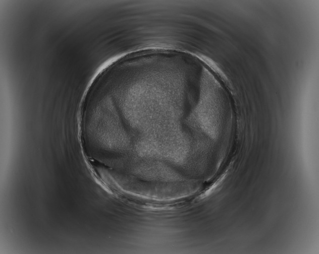 X0000086770846200705041506