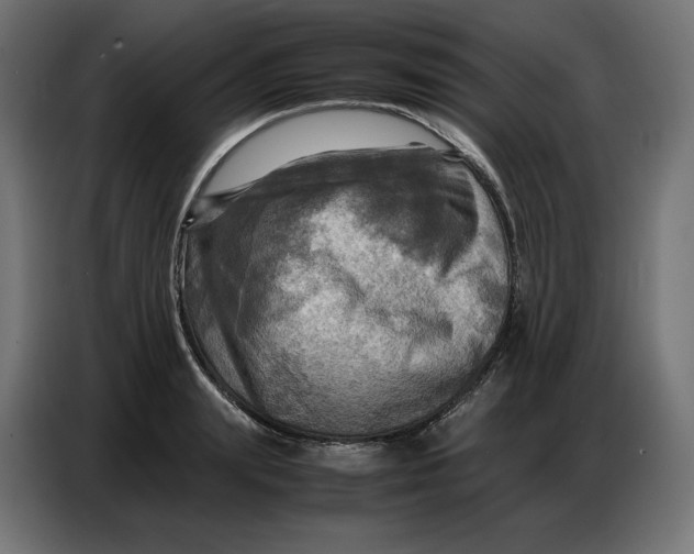 X0000086770847200705041506