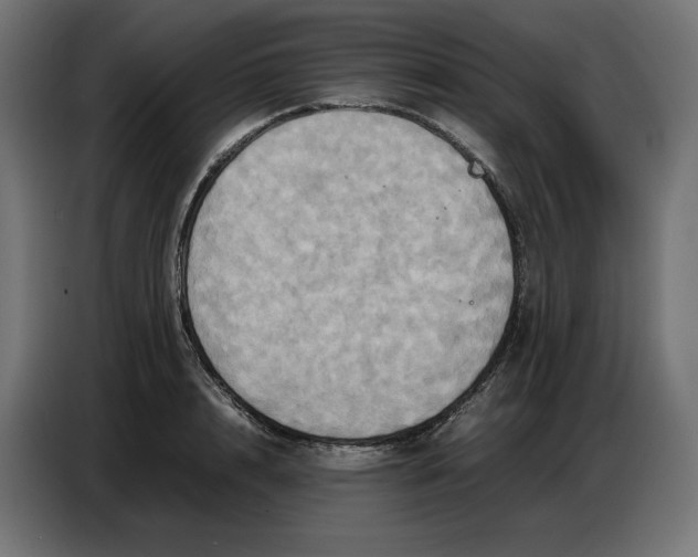 X0000086770848200705041506