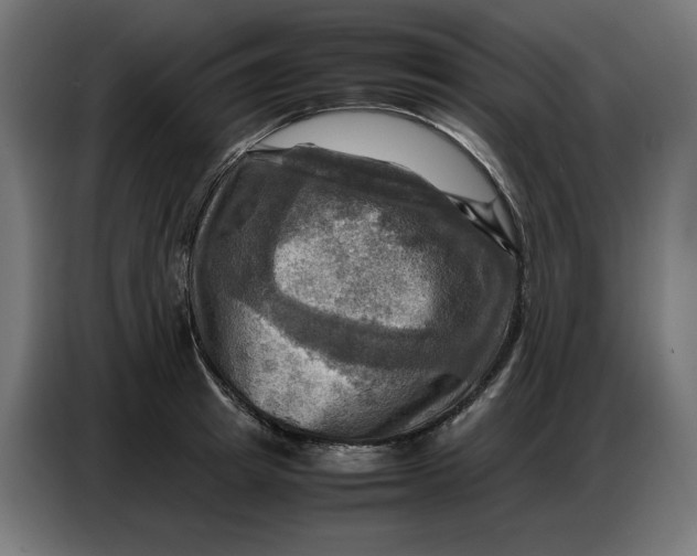 X0000086770849200705041506