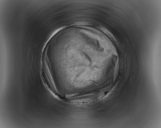 X0000086770852200705041506