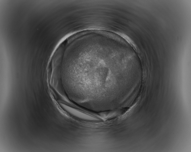 X0000086770854200705041506