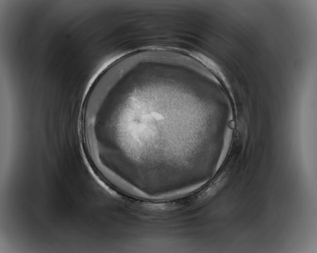 X0000086770855200705041506