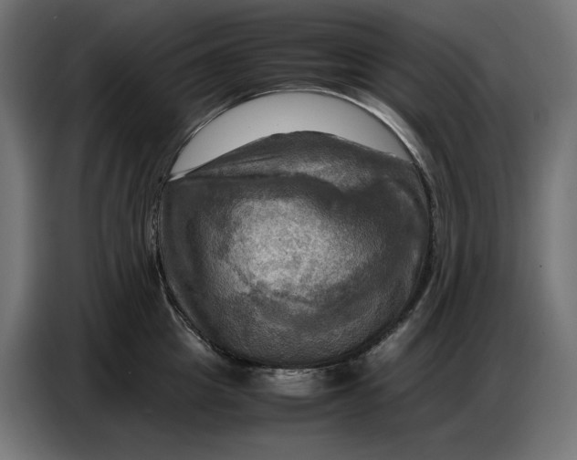 X0000086770857200705041506