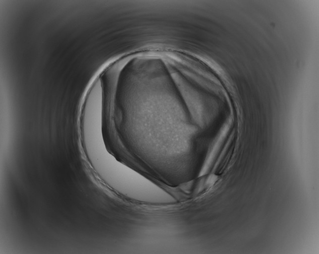 X0000086770864200705041507