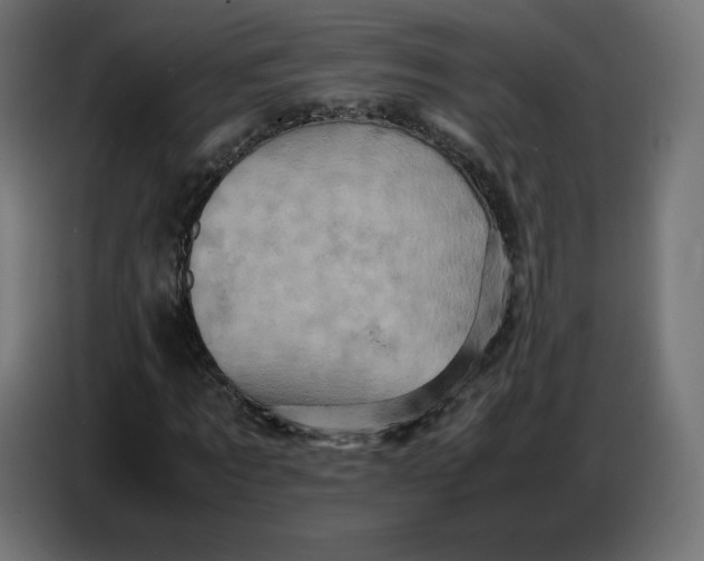 X0000086770869200705041506