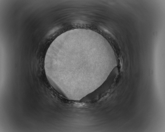 X0000086770870200705041506