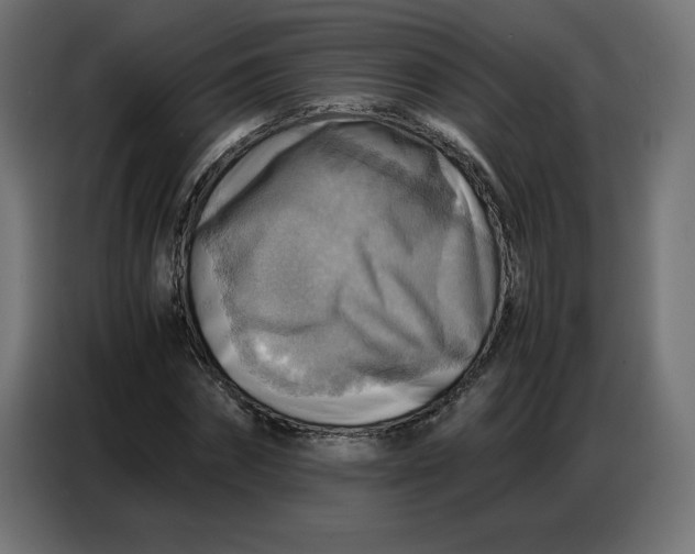 X0000086770874200705041506