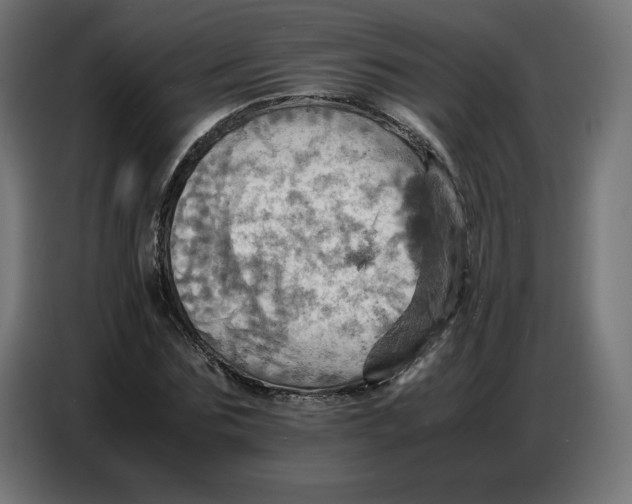 X0000086770875200705041506