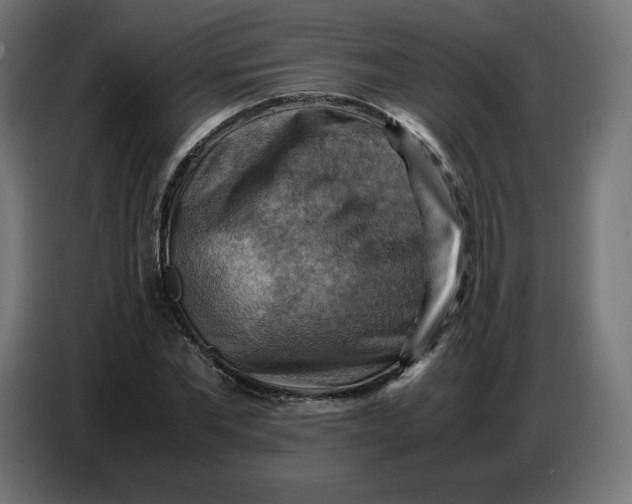 X0000086770877200705041506
