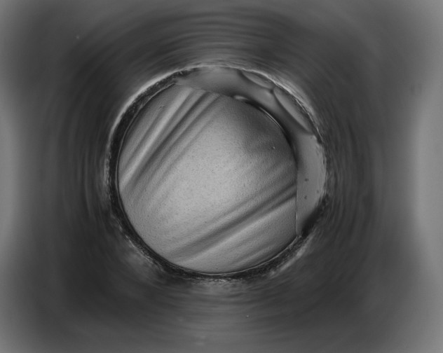 X0000086770880200705041506