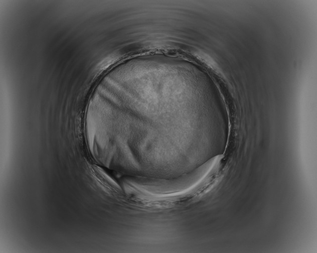 X0000086770881200705041506