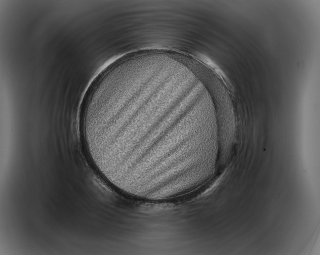 X0000086770884200705041506