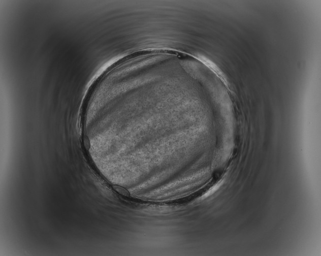 X0000086770885200705041506