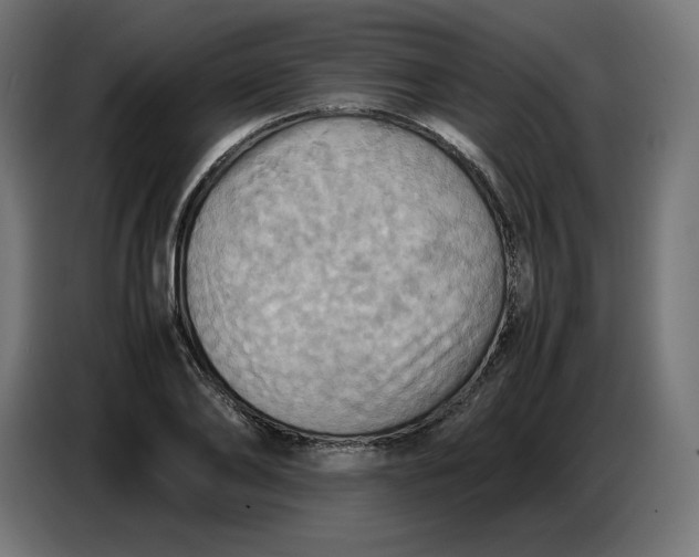 X0000086770886200705041506