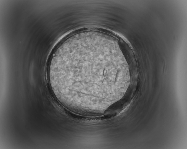 X0000086770887200705041506